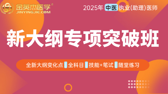 2025年中医助理医师新大纲专项突破班