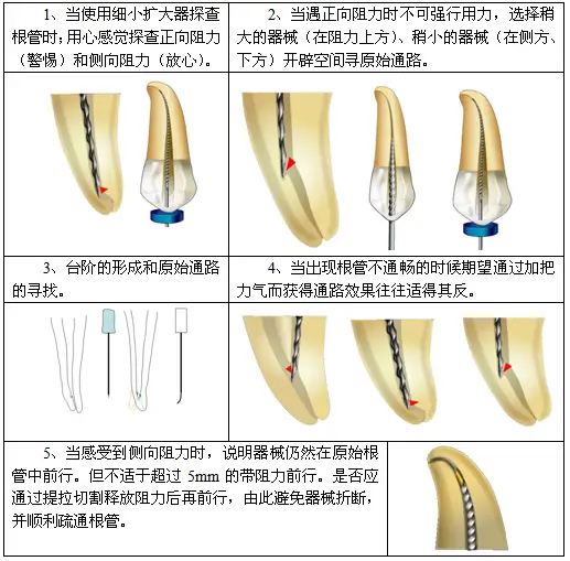 e7750b105af0fca8e452aacc115377ed.jpg